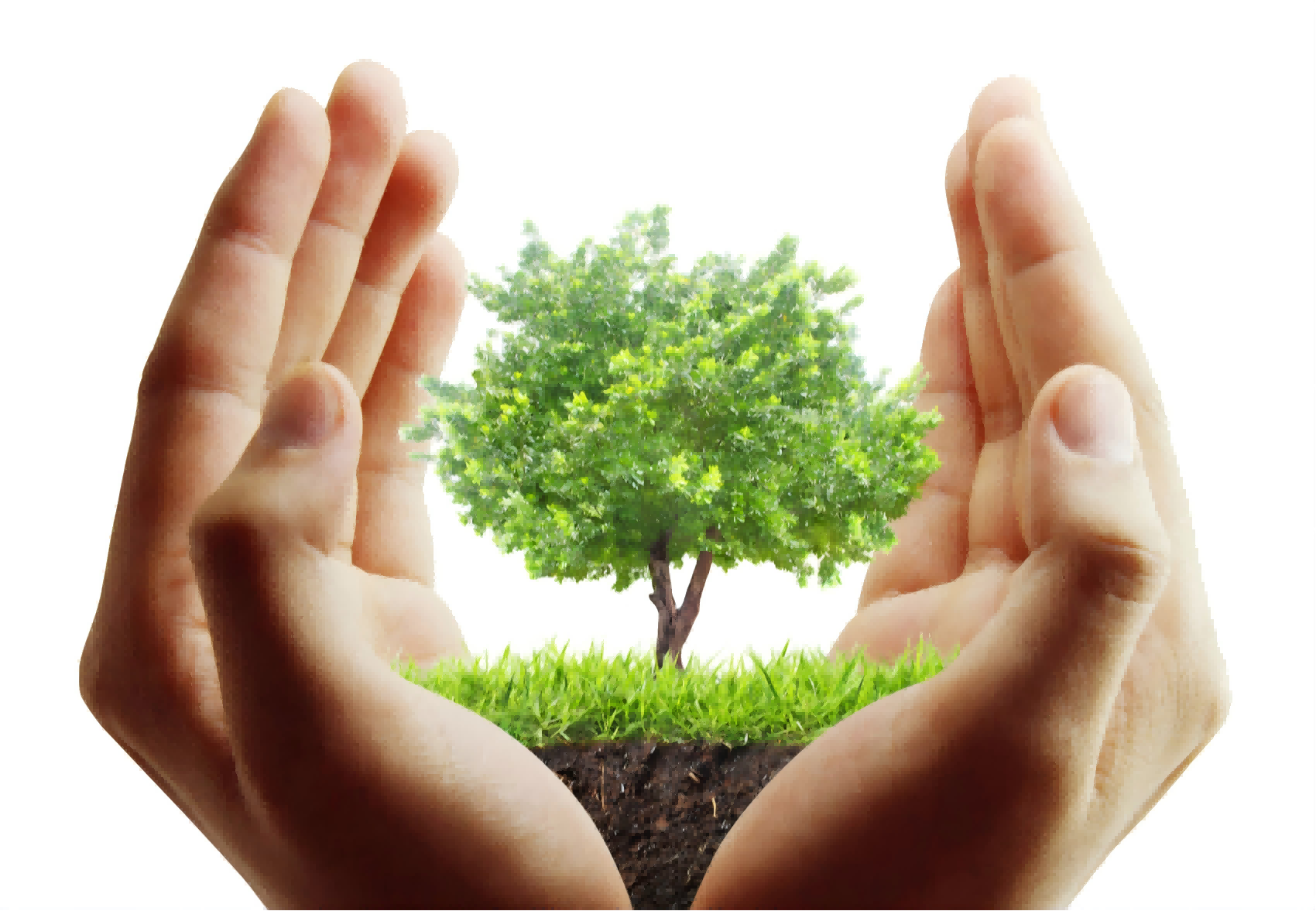 全周期心理健康闭环：守护