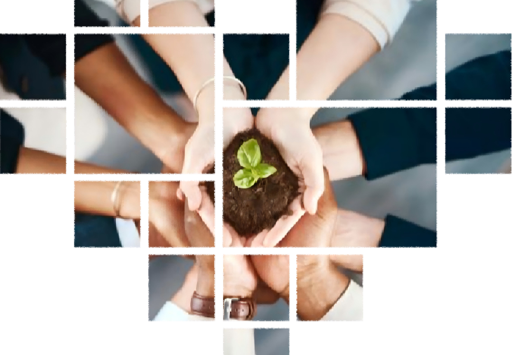 全周期心理健康闭环：发现