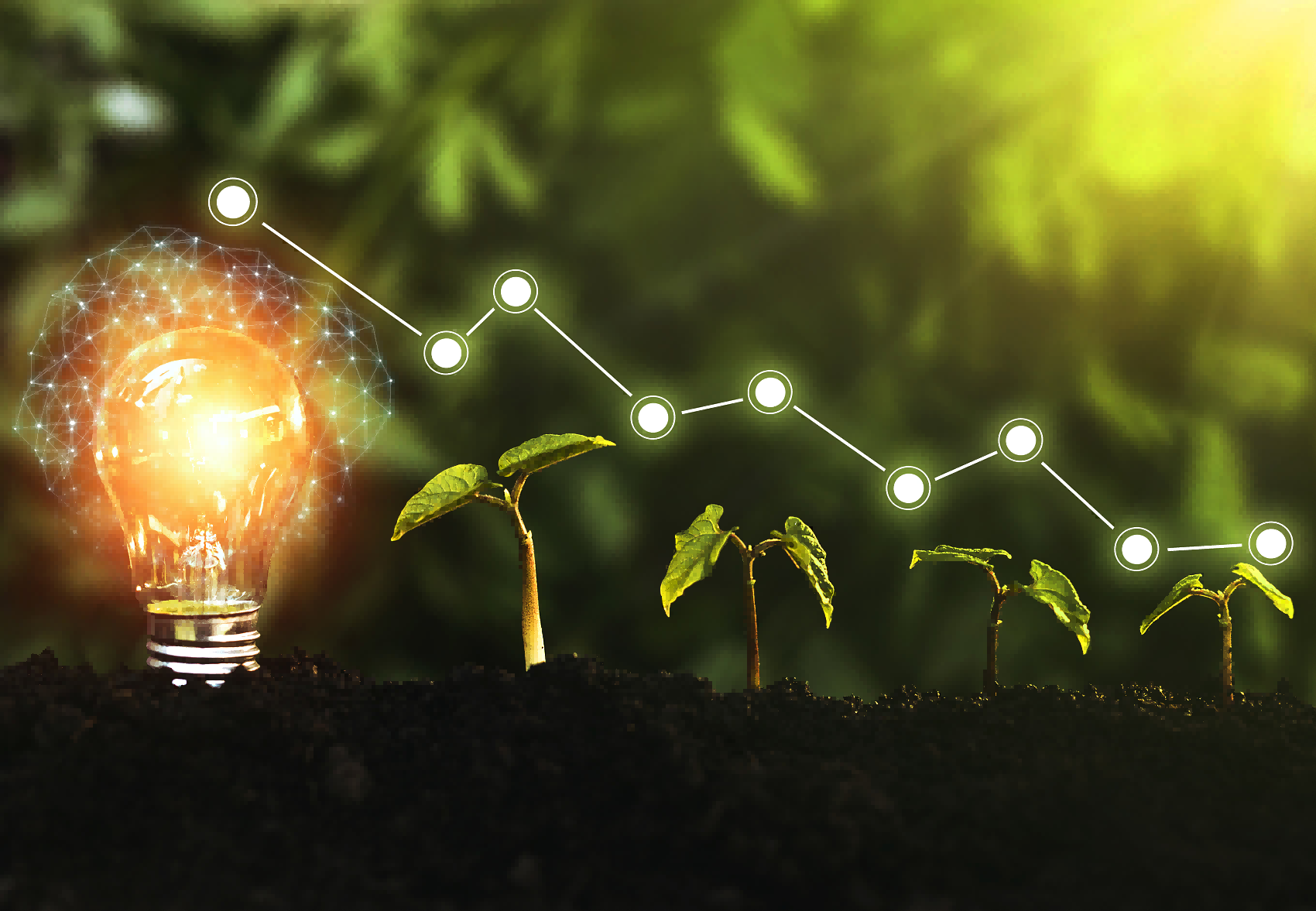 全周期心理健康闭环：成长